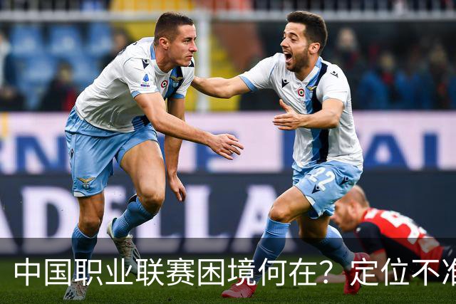 中国职业联赛困境何在？定位不准！理念错位！