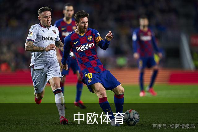 中欧体育公司介绍图